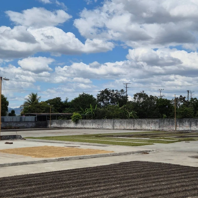Nicaragua Finca San Ramón – Kaffee des Monats Oktober 2026