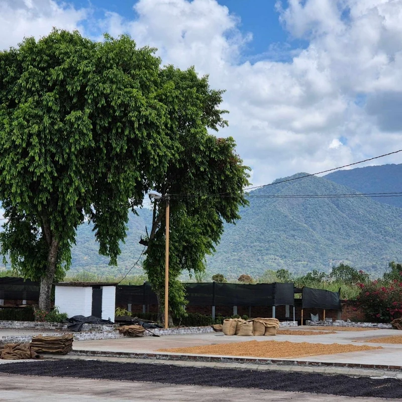 Nicaragua Finca San Ramón – Kaffee des Monats Oktober 2026