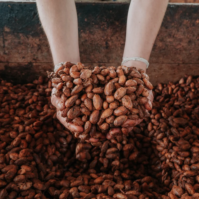 Saya Peru Amazonas Bio Kakao 260g + Saya Becher