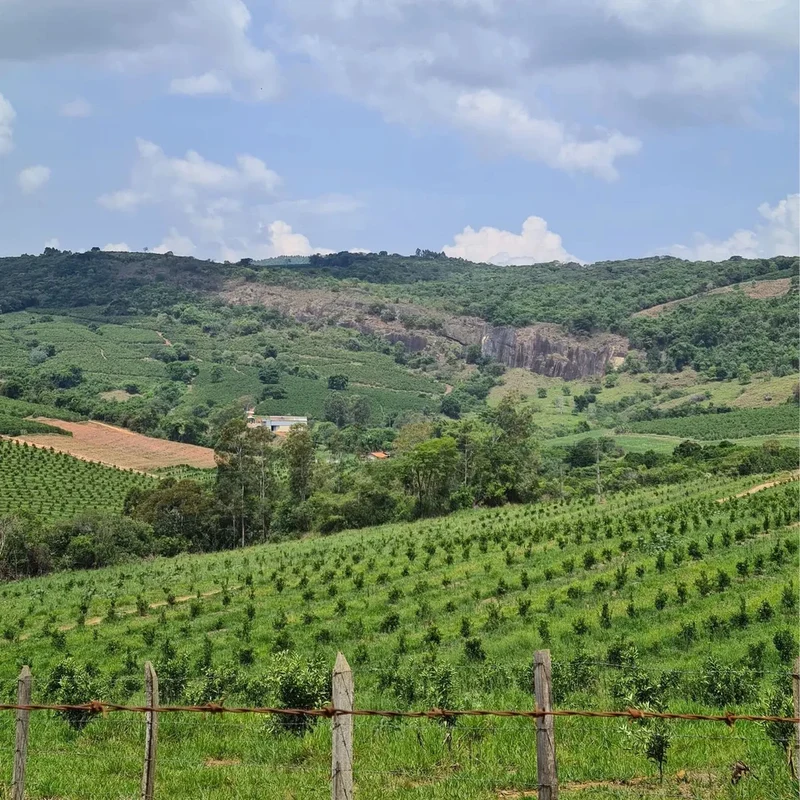Apas Decaf, Entkoffeinierter Espresso aus Brasilien