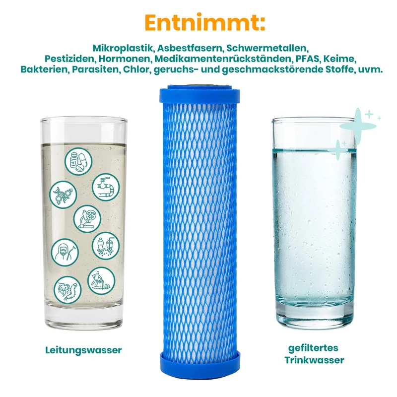 Carbonit EM PURO Filtereinsatz