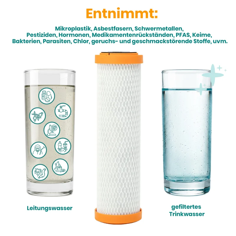 Carbonit IFP PURO Filtereinsatz