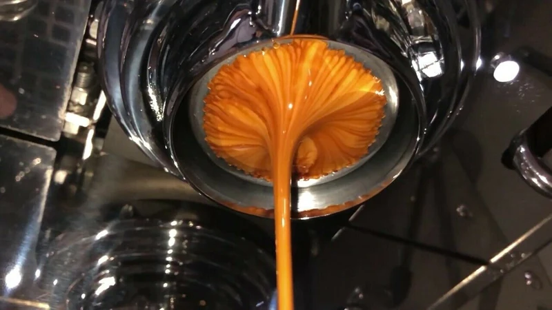 La Marzocco Bottomless Portafilter Inclined Walnut Wood Handle 21g Basket