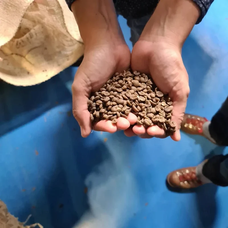 Sueño, Decaf Espresso aus Mexiko