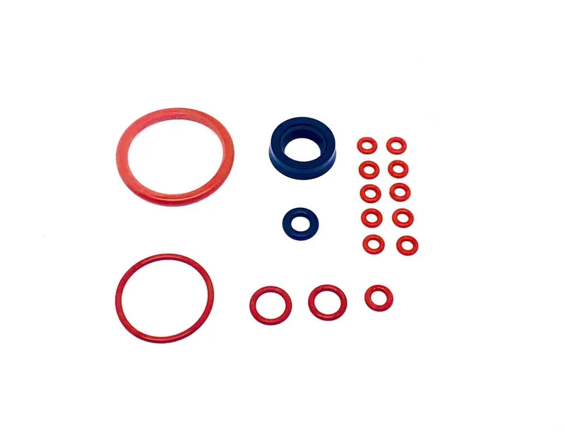 Saeco Magic Royal Incanto Complete Gasket Kit - 17 piece set