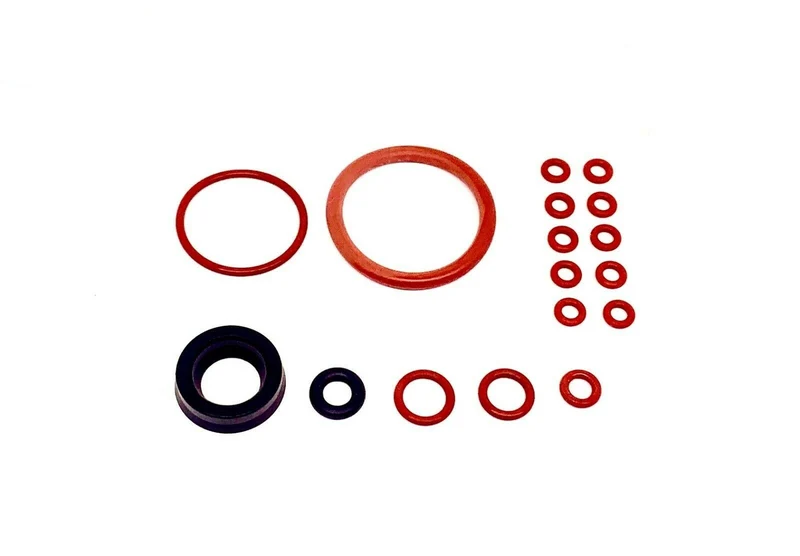 Saeco Magic Royal Incanto Complete Gasket Kit - 17 piece set