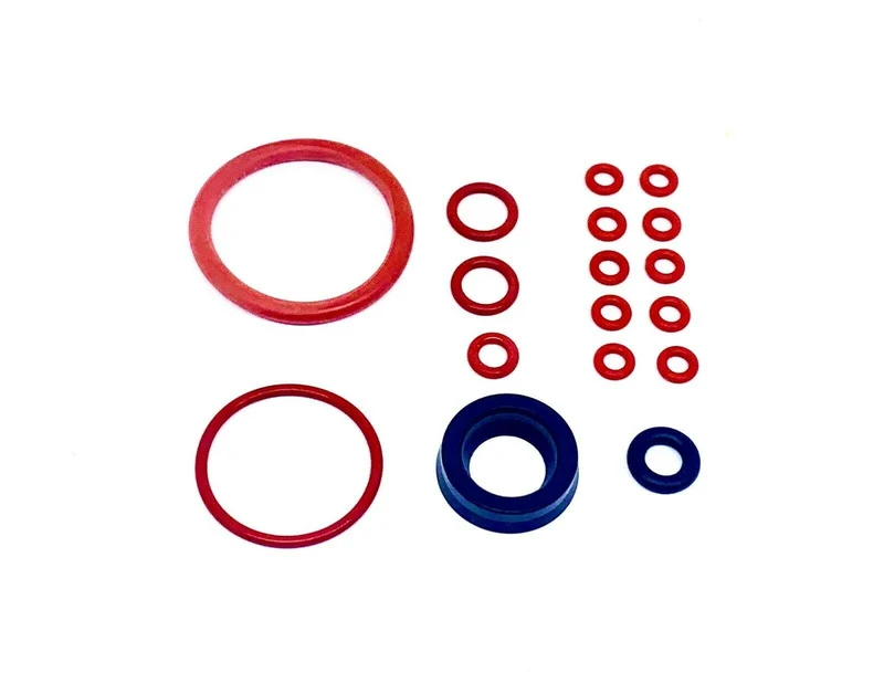 Saeco Magic Royal Incanto Complete Gasket Kit - 17 piece set