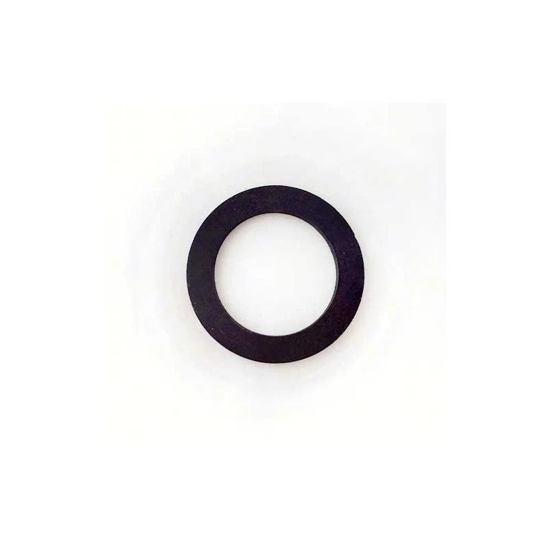 Saeco Old Group Head Portafilter Gasket- 145840561 RIO PROFI, RIO VAPORE