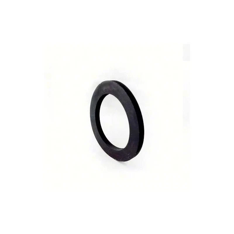 Saeco Old Group Head Portafilter Gasket- 145840561 RIO PROFI, RIO VAPORE