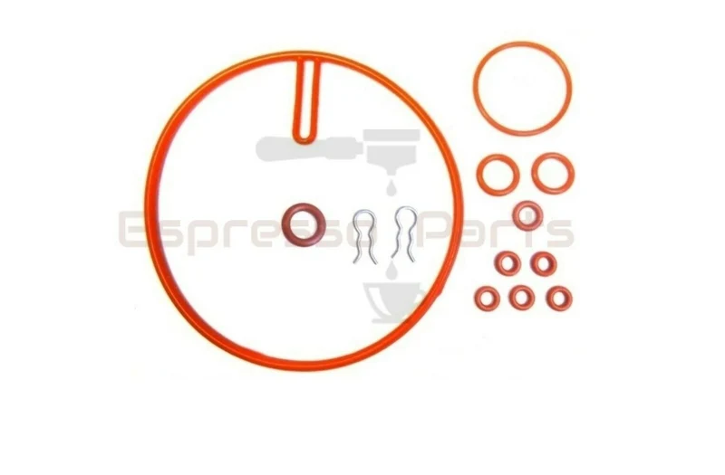 Saeco Boiler Repair Kit For Magic Royal - 13 piece set