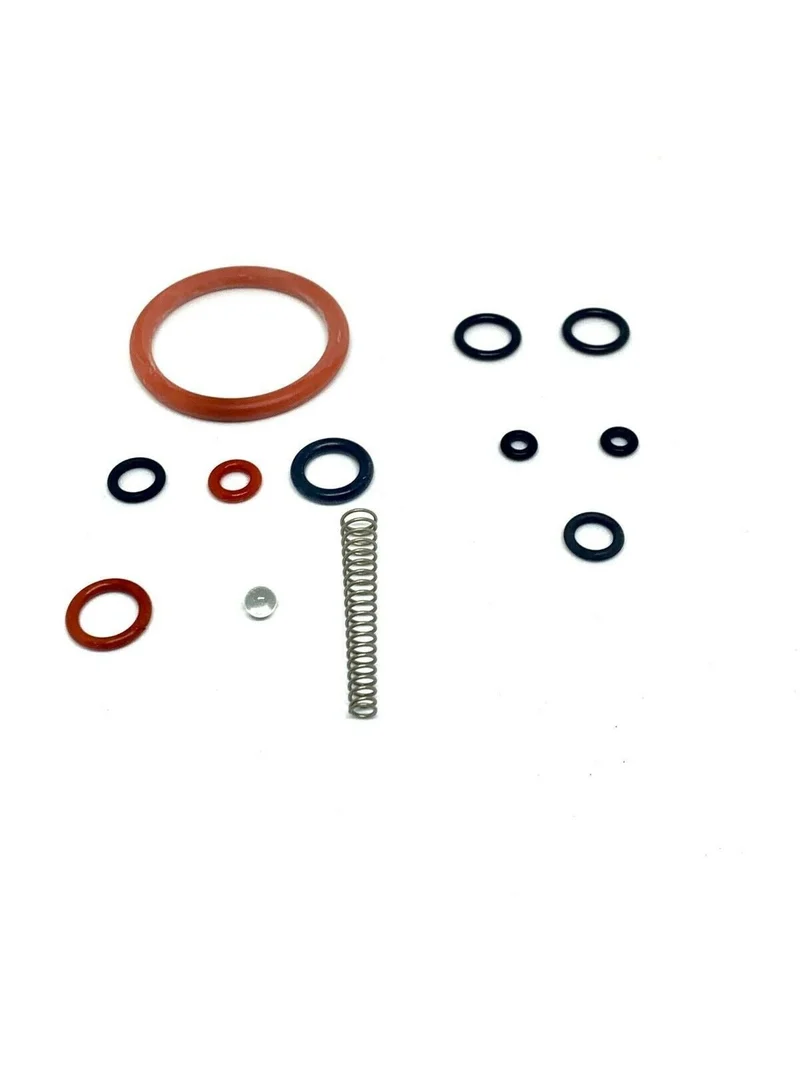 Saeco Odea, Talea, Brew Group & Steam Valve Repair Kit - 12 piece
