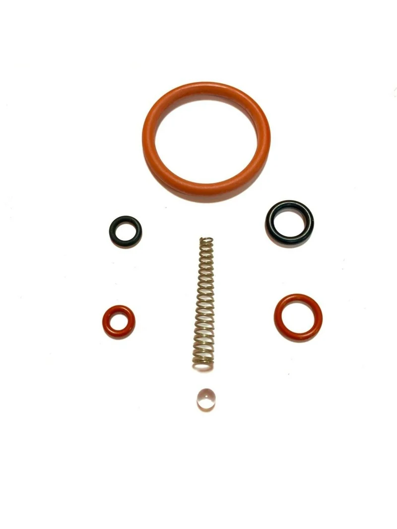 Saeco Odea, Talea, Brew Group & Steam Valve Repair Kit - 12 piece