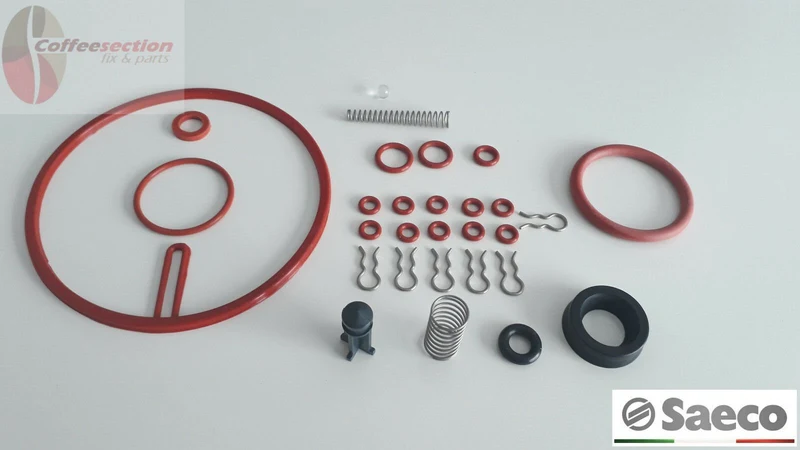 Saeco parts - Full Kit Set for Magic, Incanto, Italia, Royal, Rotel gaskets pins