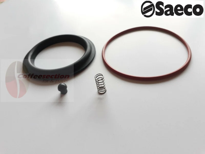 Saeco set - Repair Kit for NINA, STARBUCKS SIRENA, Gaggia Pure, Color