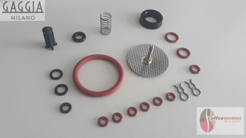 GAGGIA TITANIUM Repair Kit, Saeco MAGIC, INCANTO, ROYAL, ITALIA, SET,