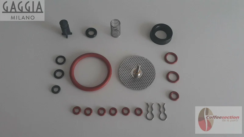 GAGGIA TITANIUM Repair Kit, Saeco MAGIC, INCANTO, ROYAL, ITALIA, SET,