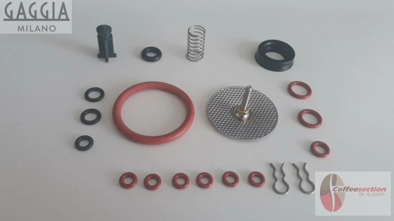 GAGGIA TITANIUM Repair Kit, Saeco MAGIC, INCANTO, ROYAL, ITALIA, SET,
