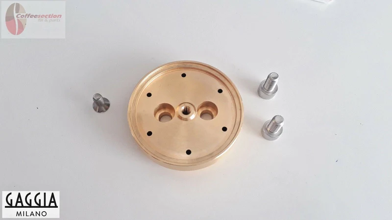 Gaggia Classic Brass Shower Holder Replacement for Espresso Machines