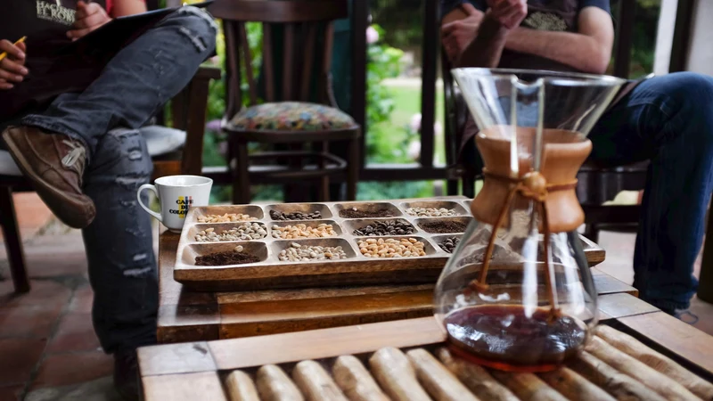 Chemex with Wood Handle - 8 Cup