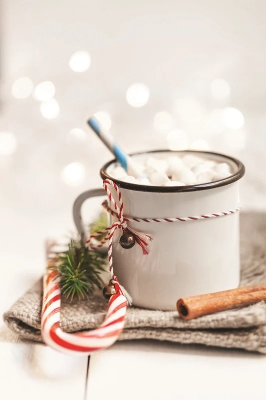 Gourmet Du Village Hot Chocolate - No Sugar Added - Candy Cane
