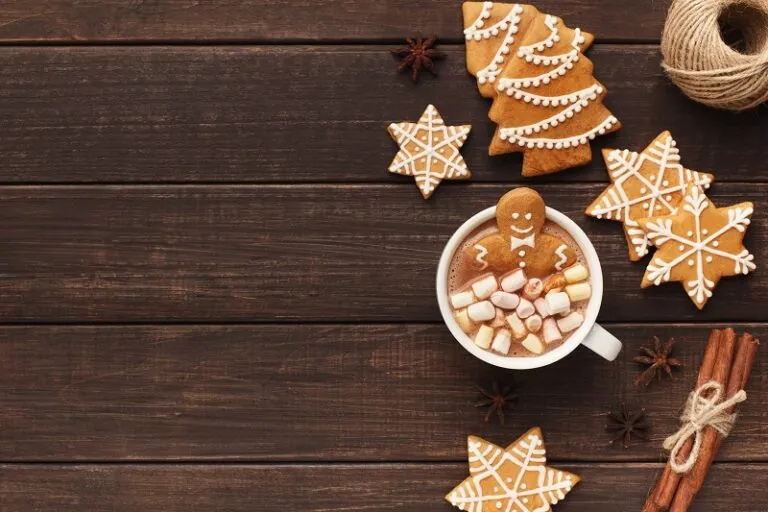 Gourmet Du Village Hot Chocolate - Festive - Gingerbread
