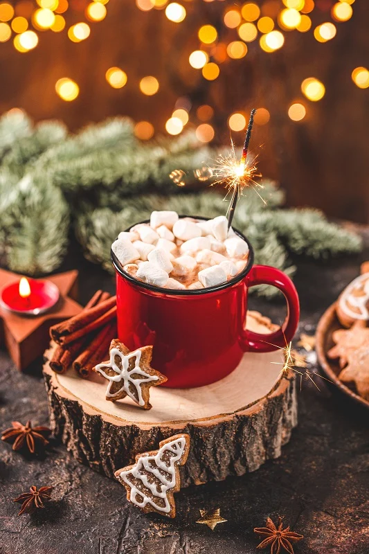 Gourmet Du Village Hot Chocolate - Festive - Santa