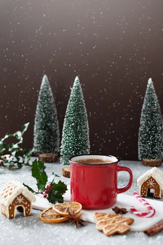 Gourmet Du Village Hot Chocolate - Festive - Penguin