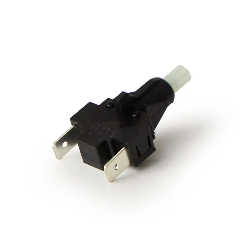 Gaggia Push Button Water Switch 16A - 12000723
