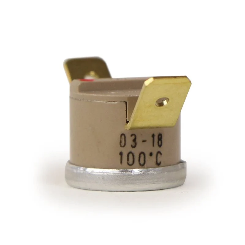 Rancilio Silvia Boiler Thermostat 100°C - 34200296