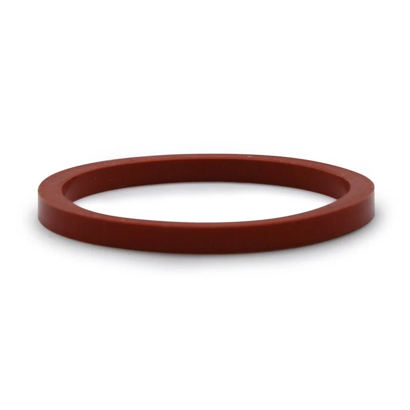 Elektra Mini Verticale Filterholder Gasket ø 64x55x5mm - 01963035