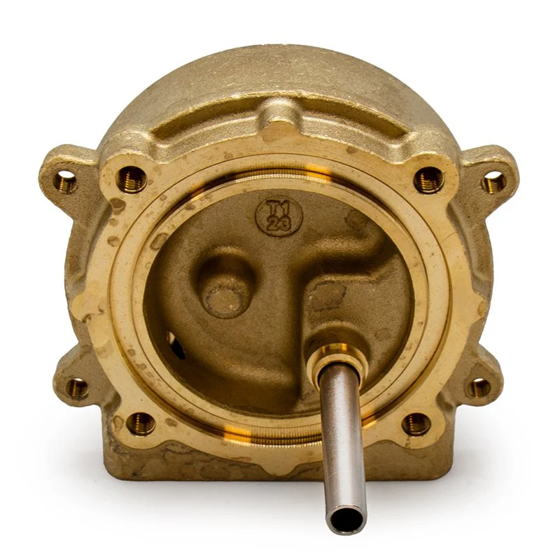 Gaggia Classic Evo Brass Grouphead - 421946510051