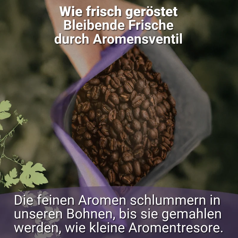 WINZER ESPRESSO