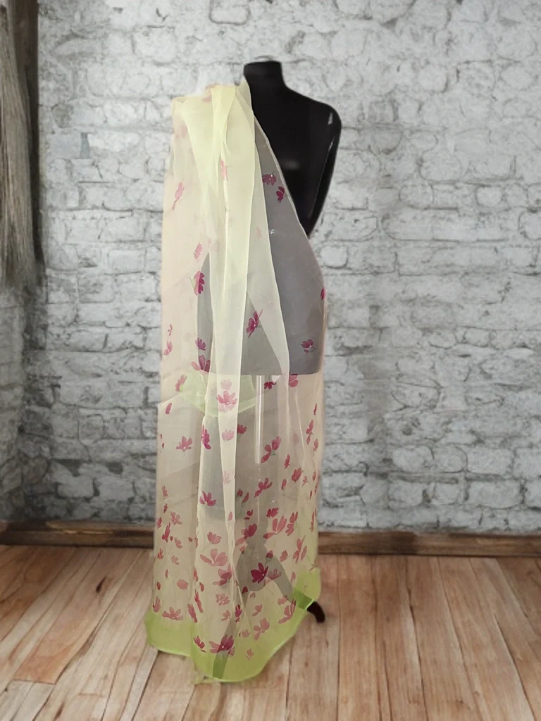 Aqua Whisper Silk Organza Dupatta