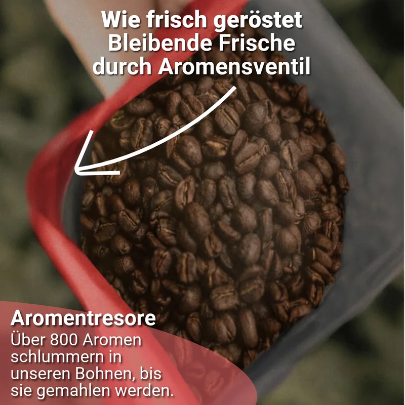 DANKE