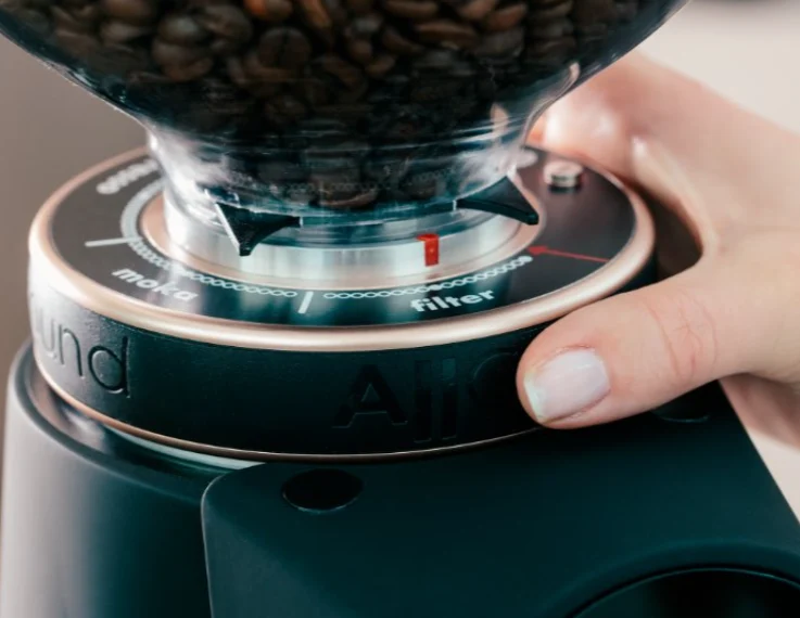 Fiorenzato Allground Sense Plus 2026 GBW Mühle