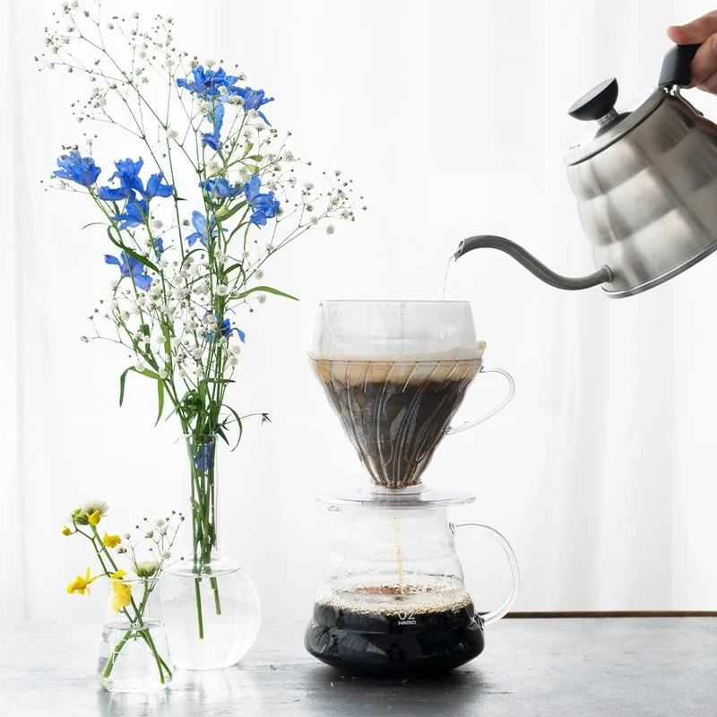 Hario V60 Drip-Assist