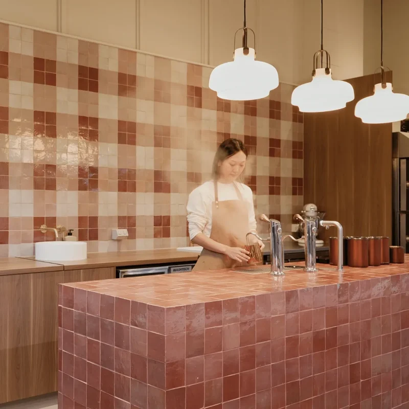 Modbar Steam System - Extra Dry Steam Performance