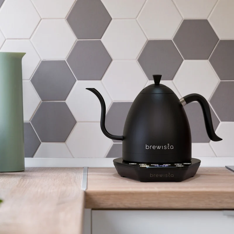 Brewista Artisan 1.0L Gooseneck Variable Kettle