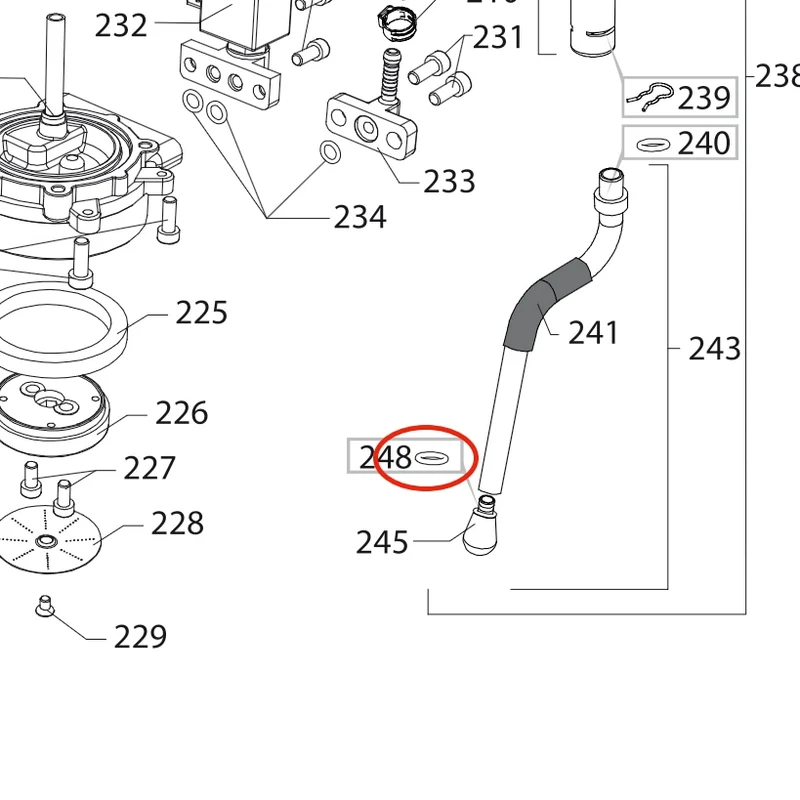 Gaggia Classic Stoomptip pakking