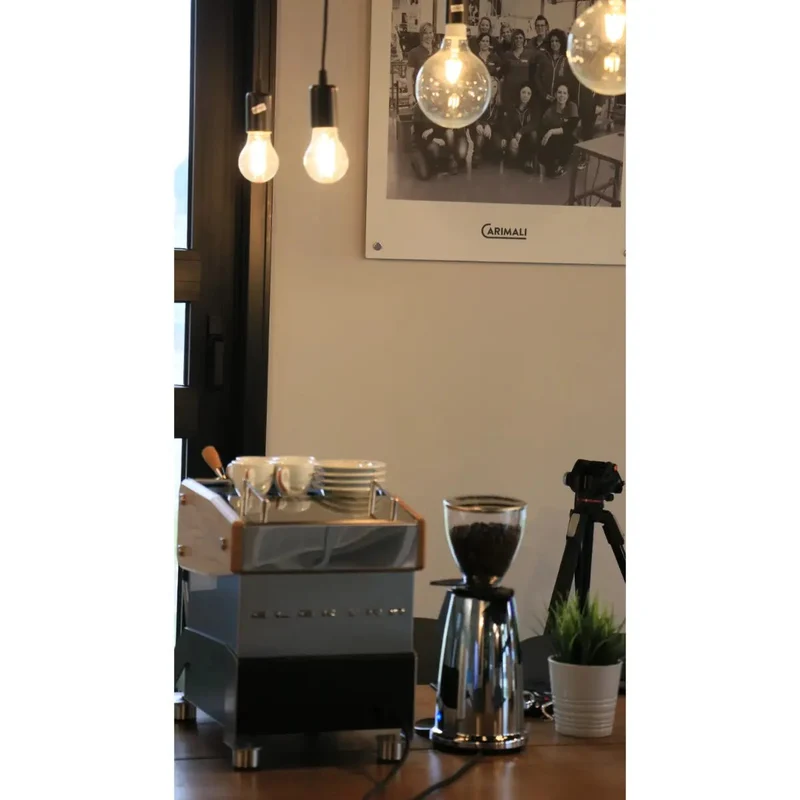 Elektra Verve Mini Espresso Machine - Dual Boiler