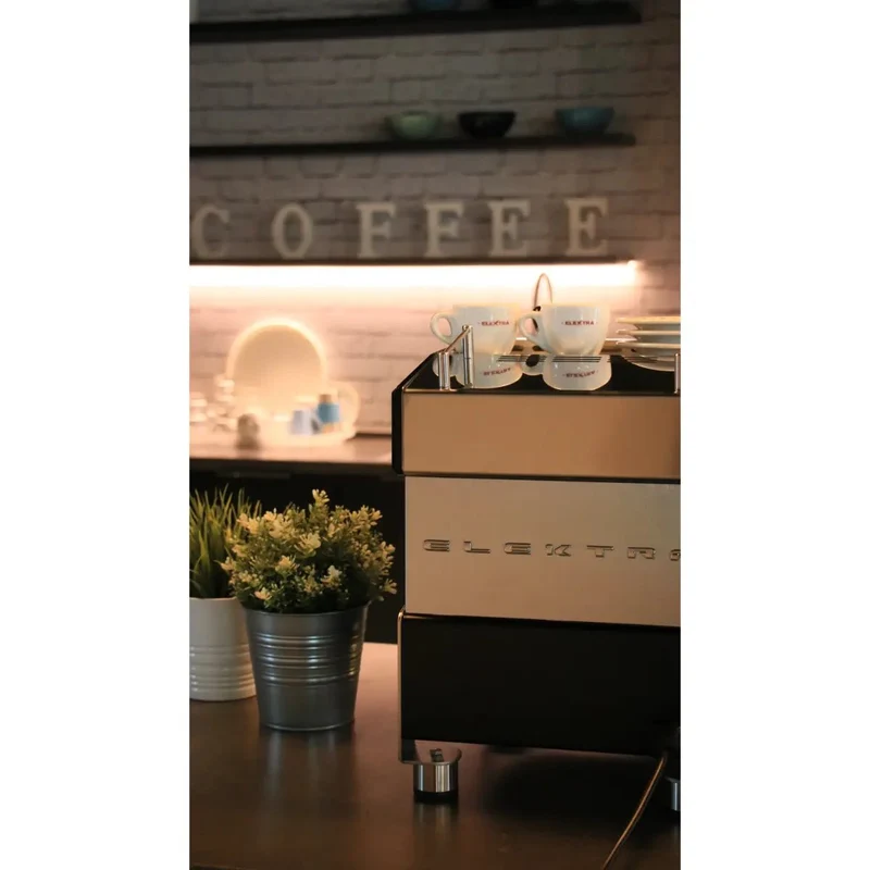 Elektra Verve Mini Espresso Machine - Dual Boiler