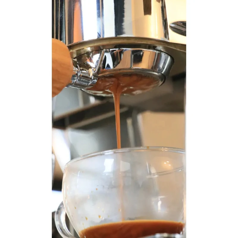 Elektra Verve Mini Espresso Machine - Dual Boiler