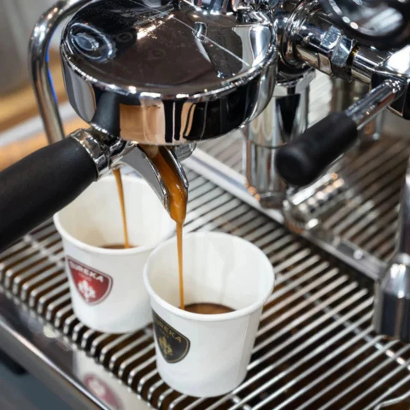 Eureka Costanza Intelligent Heat-Exchange Espresso Machine