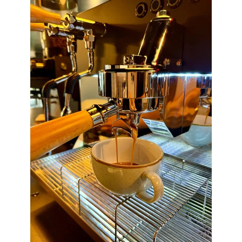 Elektra Eklipto 2 Group Espresso Machine with Advanced Temperature Control