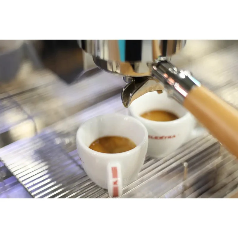 Elektra Eklipto 2 Group Espresso Machine with Advanced Temperature Control