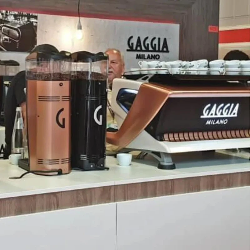 Gaggia G10 EVO Professional Dose Consistency & Dose on Demand Coffee Grinder