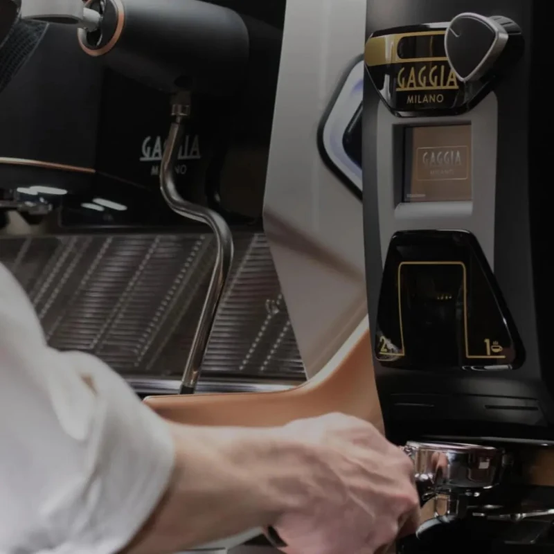Gaggia G10 EVO Professional Dose Consistency & Dose on Demand Coffee Grinder