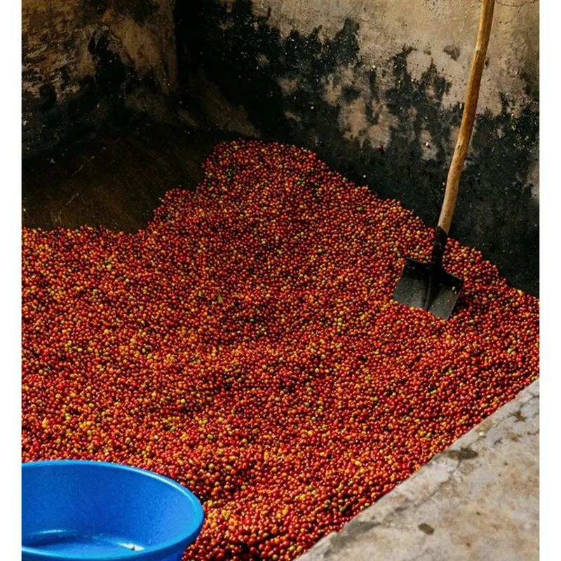 MONT58 Rwanda Single Origin Coffee Beans