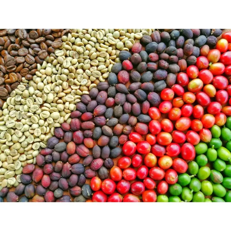 MONT58 Cold Brew Blend Coffee Beans