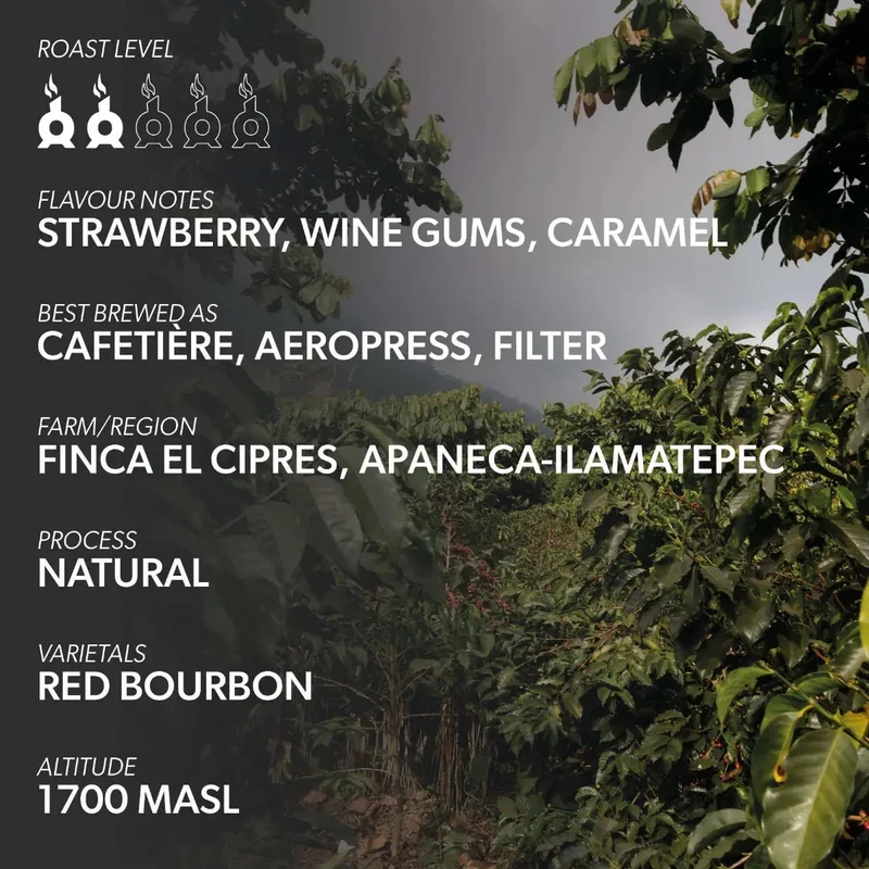 Chimney Fire El Salvador Coffee Beans - Strawberry, Wine Gums, Caramel